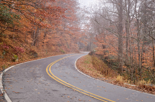Foggy mountain road below Grandfather Mountain, North Carolina
