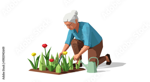 Elderly woman kneeling and gardening with colorful flowers, wearing a blue shirt, against a white background, with a watering can nearby