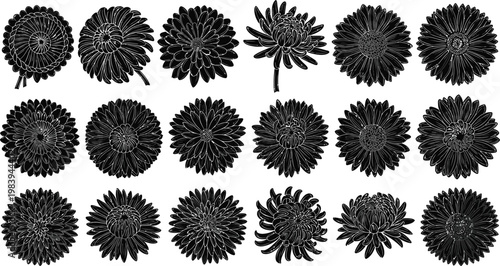 Black flower in rows on white flowers white background floral shapes
