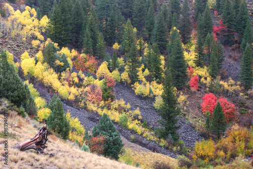 Φωτογραφία Cache National Forest Fall Scenery
