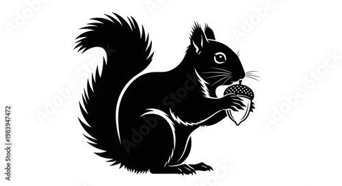 Black squirrel holding an acorn in its paws.