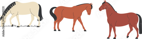 Horse cartoon set, farm animal characters grazing and standing isolated vector illustration colorful design