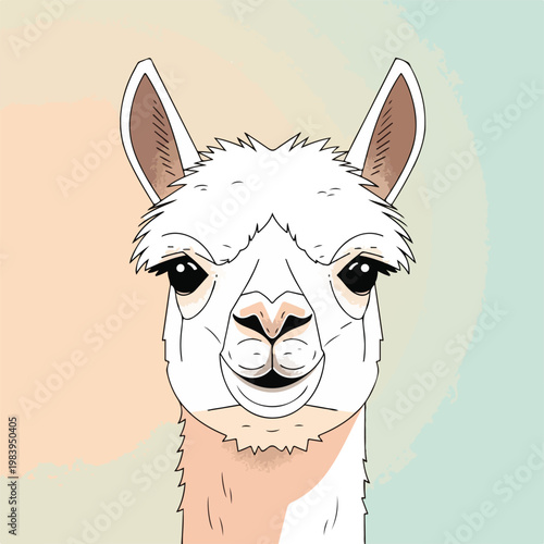 Close up of a llama face.