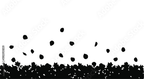 Scattered dark seeds floating above a textured dark ground with leaves