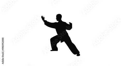 Silhouette of a person practicing martial arts in a dynamic pose, conveying strength and discipline.