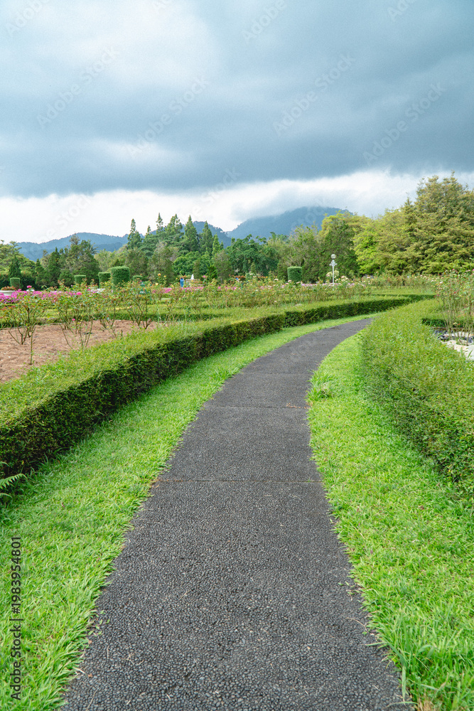 Obraz premium Curved pathway through green park with cloudy sky and distant hills, peaceful outdoor landscape ideal for travel, nature, and relaxation concepts