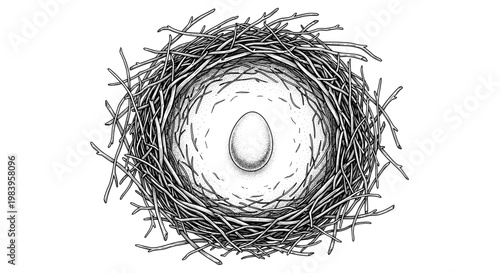 Detailed stippled drawing of single egg resting inside protective bird nest constructed from tangled twigs and dry sticks.