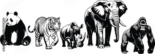 Black and white of zoo animals in a row panda tiger rhinoceros