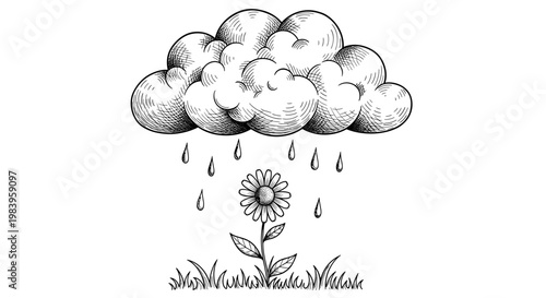 Engraved style illustration of single flower growing under raining cloud with decorative grass and falling water droplets.