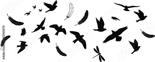 Black silhouettes of birds and insects flying on white background