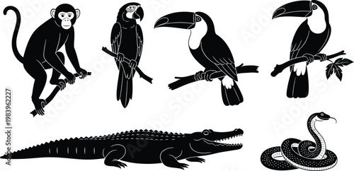 Black silhouettes of jungle animals and birds monkey toucan crocodile snake