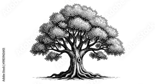 Mighty old tree with lush foliage and gnarled roots, hand-drawn vector sketch in traditional woodcut style.