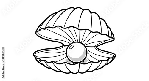 Open seashell with beautiful pearl inside drawing marine shell ocean treasure jewelry symbol isolated on white background.