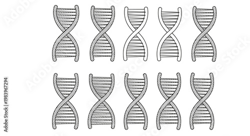 Set of ten dna helix structures, hand-drawn vector illustration of genetic code, science and biology concept.