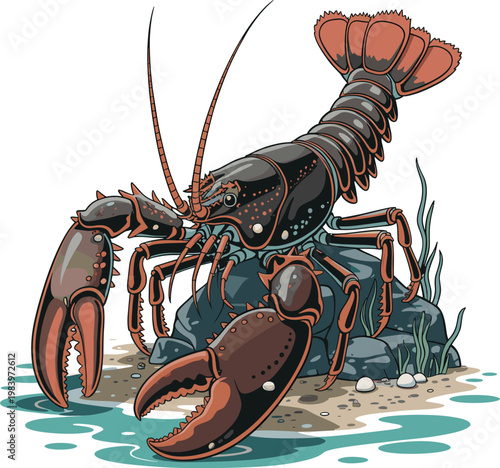 a-large-rock-lobster-with-a-dark.eps