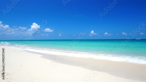 Tropical beach paradise.