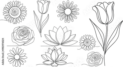 Black and White Line Art Flower Illustrations Including Roses, Tulips, Lotus, and Sunflowers for Websites, Apps, and Digital Media Designs