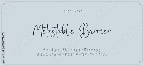 Hand drawn vector alphabet. Modern monoline signature script font. Elegant Signature Font. Best Alphabet Beautiful Calligraphy Signature Font
