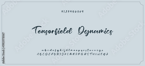 Hand drawn vector alphabet. Modern monoline signature script font. Elegant Signature Font. Best Alphabet Beautiful Calligraphy Signature Font