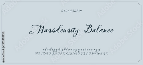 Hand drawn vector alphabet. Modern monoline signature script font. Elegant Signature Font. Best Alphabet Beautiful Calligraphy Signature Font