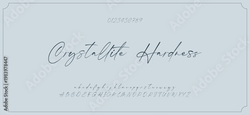 Hand drawn vector alphabet. Modern monoline signature script font. Elegant Signature Font. Best Alphabet Beautiful Calligraphy Signature Font
