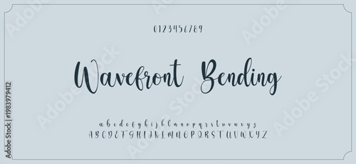 Hand drawn vector alphabet. Modern monoline signature script font. Elegant Signature Font. Best Alphabet Beautiful Calligraphy Signature Font