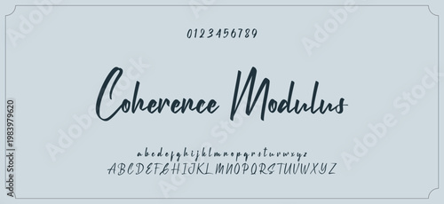 Hand drawn vector alphabet. Modern monoline signature script font. Elegant Signature Font. Best Alphabet Beautiful Calligraphy Signature Font