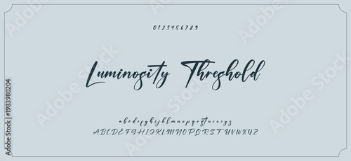 Hand drawn vector alphabet. Modern monoline signature script font. Elegant Signature Font. Best Alphabet Beautiful Calligraphy Signature Font