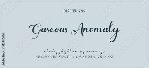 Hand drawn vector alphabet. Modern monoline signature script font. Elegant Signature Font. Best Alphabet Beautiful Calligraphy Signature Font