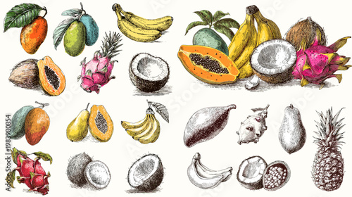 Hand drawn tropical fruits collection with banana papaya coconut pineapple dragon fruit and more, colorful exotic food illustration isolated on white background