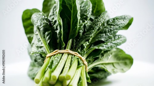 Close-up of a fresh bunch of green spinach leaves with water droplets tied together with a tan rubber band against a light background, raw organic vegetable bundle.