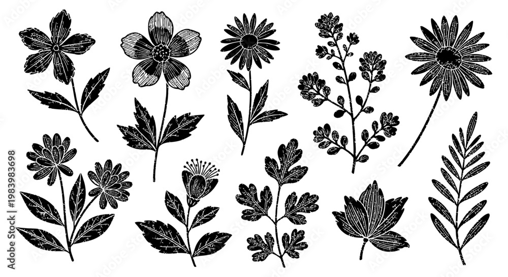 Obraz premium black and white hand-drawn floral elements and botanical illustrations