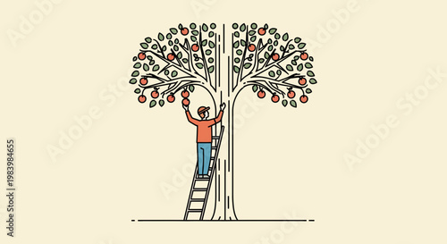 A person engaged in fruit harvesting on a ladder in an agriculture setting outdoors.