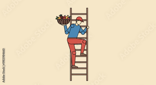 A person climbs a ladder for fruit harvesting in agriculture.