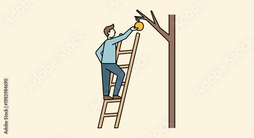 Man on ladder doing fruit harvesting work in agriculture field