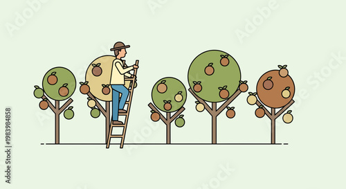 Man engaged in fruit harvesting on a ladder amidst lush trees in an agricultural setting.