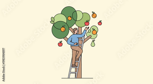 Man engaged in fruit harvesting on a ladder for agriculture purposes