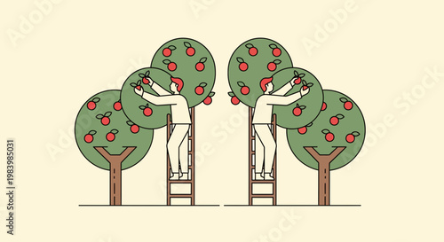 People harvesting fruit from trees in an agricultural setting for food.