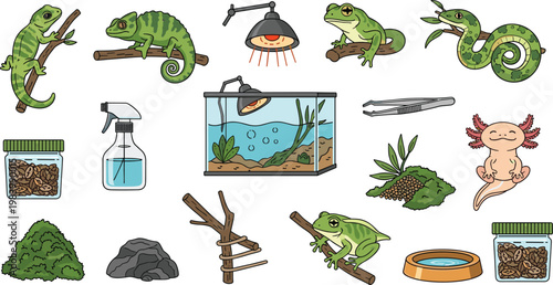 Reptile and Amphibian Care Vector Set Featuring Chameleon Frog Snake Axolotl and Terrarium Equipment