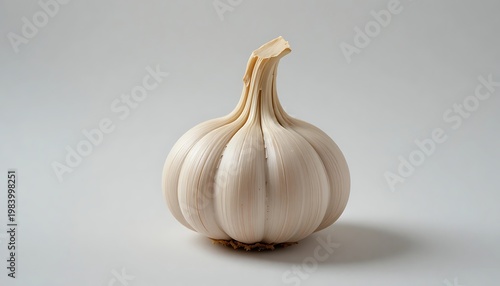 Single Fresh Garlic Bulb Isolated on Neutral Grey Background Ripe Organic Pungent Allium for Mediterranean Cuisine Spicy Flavoring and Natural Antibiotic Health Benefits Food Photography