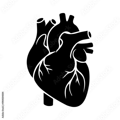 Human Heart Anatomy Silhouette Icon