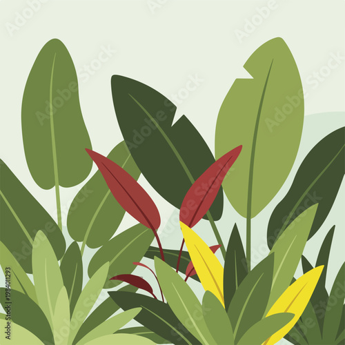 Colorful Tropical Leaves and Foliage.