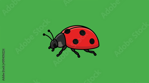 Ladybug on a green background, a vibrant and colorful insect.