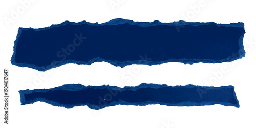 Abstract composition featuring a chaotic arrangement of black lines on a stark white background