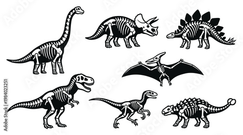 Collection of Dinosaur Skeleton Silhouettes Fossil Bone Vector Set T Rex Triceratops Brachiosaurus