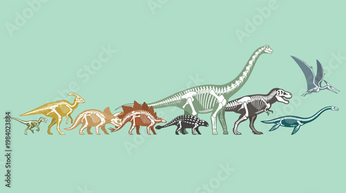 Set of Dinosaur Silhouettes with Skeleton Fossil Anatomy for Educational Science and Prehistoric Museum Design