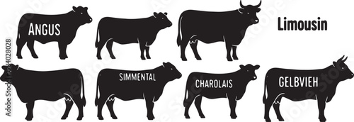 Black Solid Beef Cattle Silhouettes Set of Six on White Background