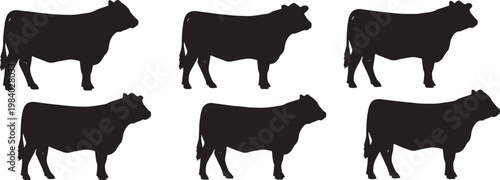 Black Solid Beef Cattle Silhouettes Set of Six on White Background