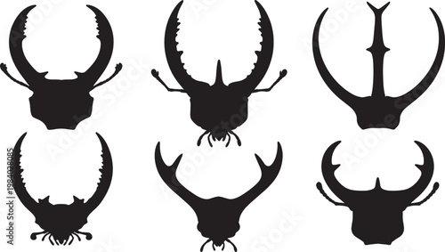Desert Beetle Mandible and Horn Details