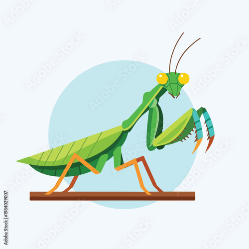 Green Praying Mantis Insect Closeup Side.